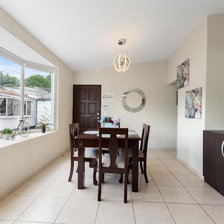 The Cozy Apartment San Salvador Exteriér fotografie